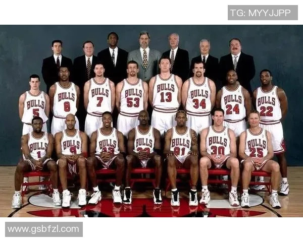 姚明在NBA的辉煌生涯与英语学习的深刻影响分析