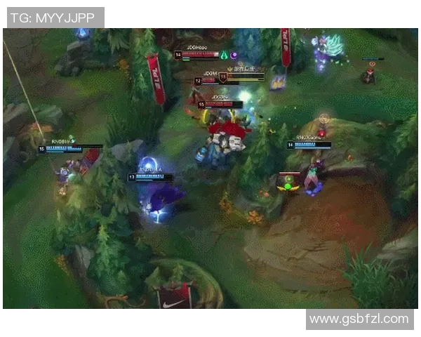 赛后分析：RNG与JDG在战术灵活性上的较量与启示